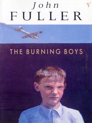 cover image of The Burning Boys